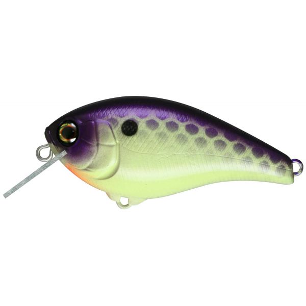 Jackall JASK60SR Aska Crankbait - JP Purple Chartreuse