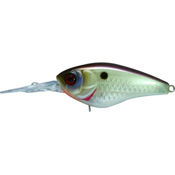 Jackall Jaco Crankbait - TO Muddy Shad