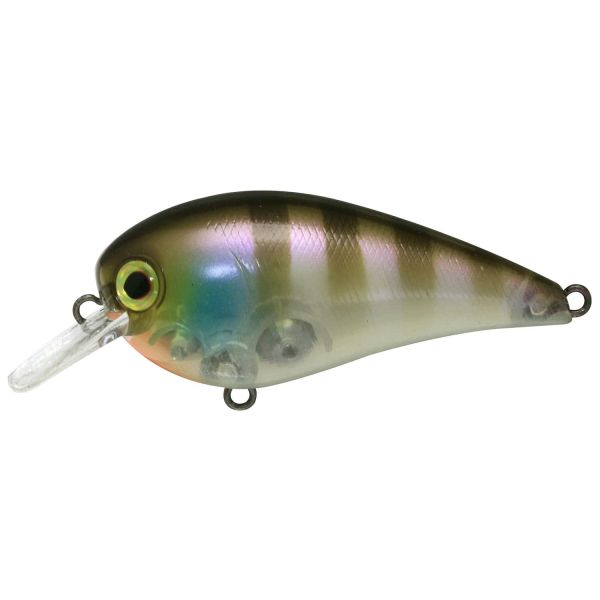 Jackall MC60 SR Crankbait - Ghost Bluegill