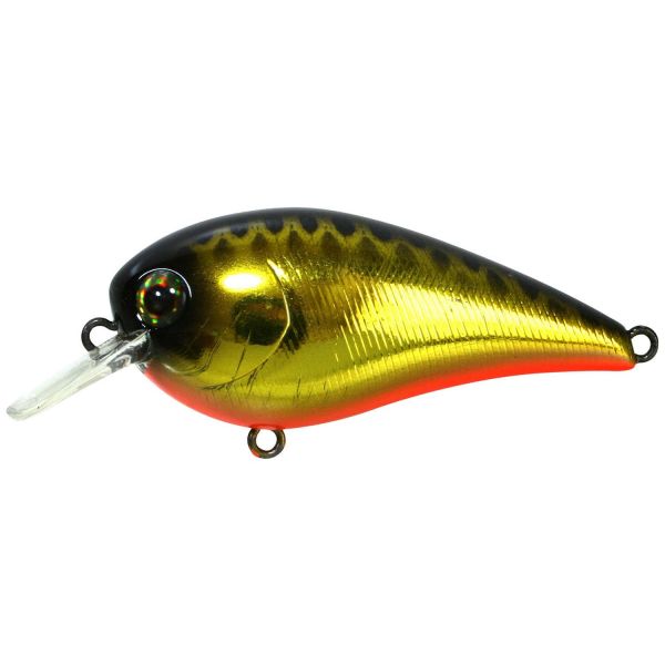 Jackall MC60 SR Crankbait - HL Black & Gold