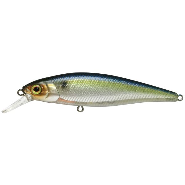 Jackall Squad Minnow - 4in - SG Threadfin Squad