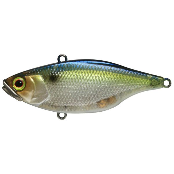 Jackall TN-60 Lipless Crankbait - SG Threadfin Shad