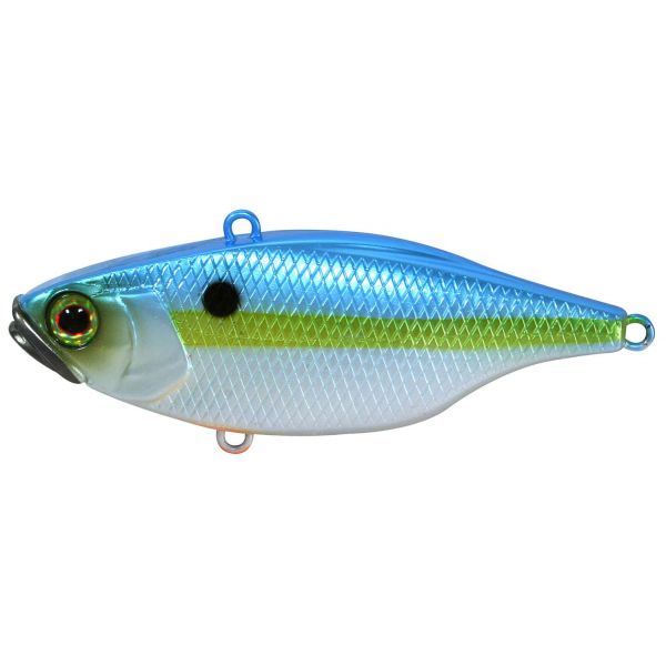 Jackall TN-60 Lipless Crankbait - SS Shad