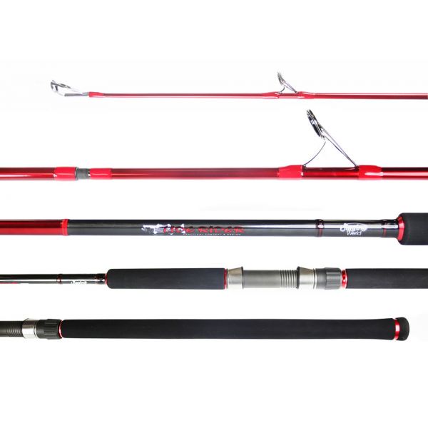 Jigging World Tide Rider 10' 2pc Surf Spinning Rod