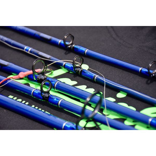 Lamiglas BW5850C Blue Water Series Conventional Rod - 5 ft. 8 in.