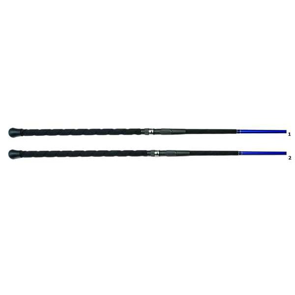 Lamiglas Supersurf 2G Rods