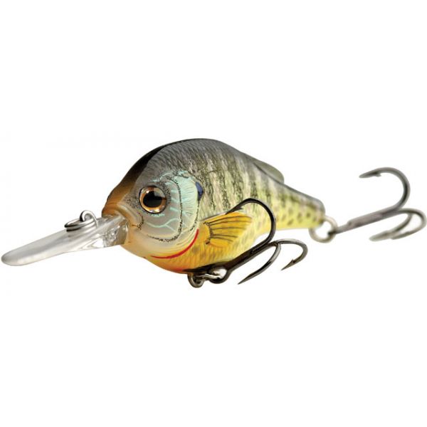 LIVETARGET Lures Bluegill Crankbait BG57M Medium Dive 2.25in