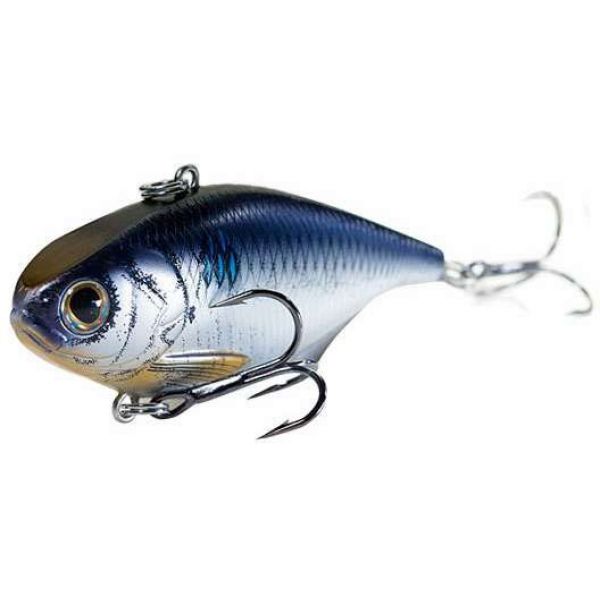 LIVETARGET Gizzard Shad Lipless Rattlebait 3in 601 Silver/Blue