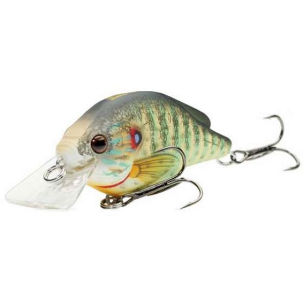 LIVETARGET Pumpkinseed Squarebill Shallow Dive 2 3/8