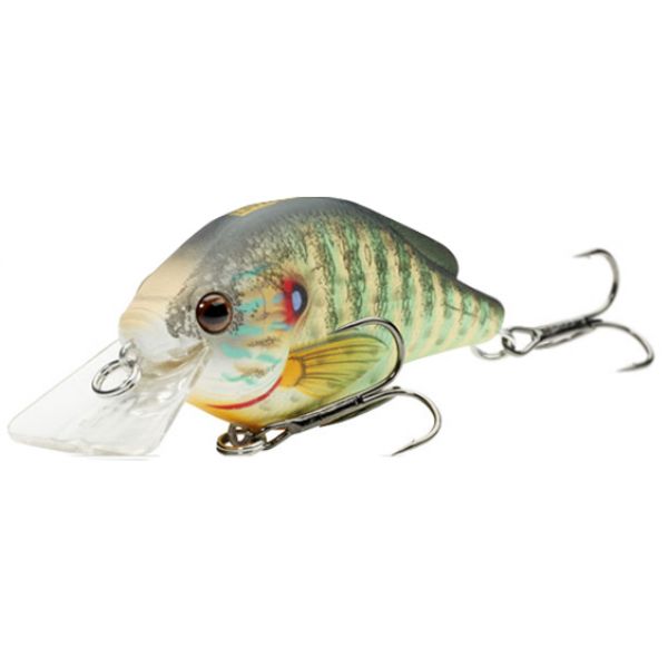 LIVETARGET Lures PSS60S Pumpkinseed Squarebill Shallow Dive 2 3/8