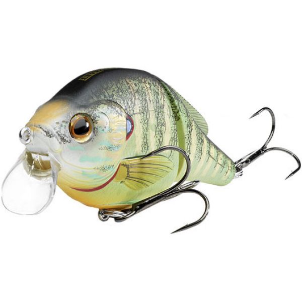 LIVETARGET Lures Pumkinseed Wakebait PSW95T Shallow Dive 3.75in