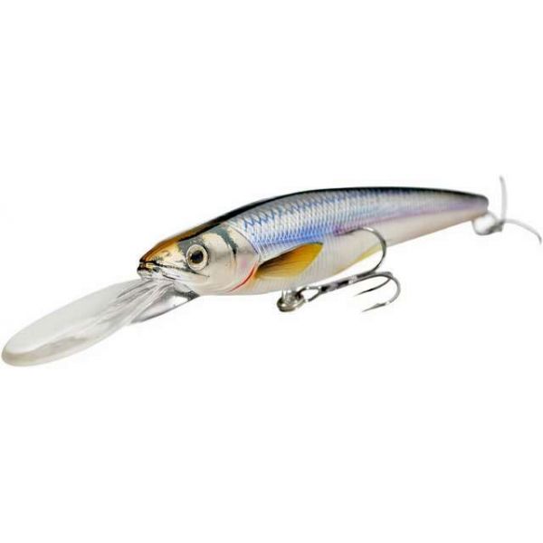 LIVETARGET Rainbow Smelt Jerkbait Deep Dive 4-1/2in 201 Silver/Blue