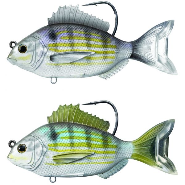 LIVETARGET Pinfish Swimbait Lures - 3 1/2 in.