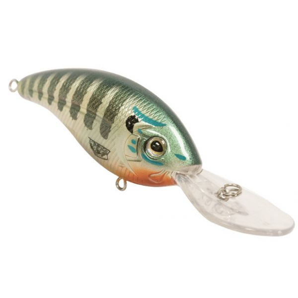 Livingston Lures 3256 Tournament Series Deep Impact 12 Crankbait