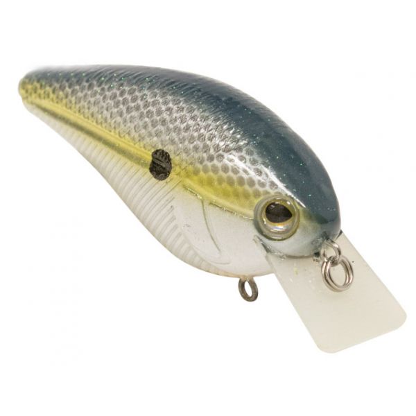 Livingston Lures 3703 Tournament Series Primetyme SQ 2.0 Crankbait