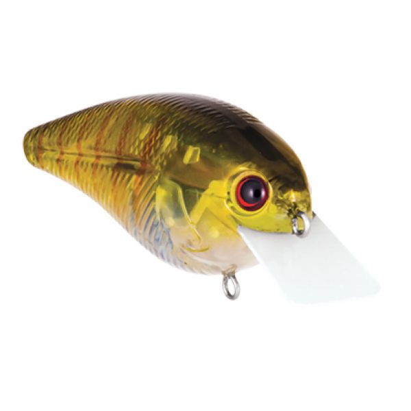 Livingston Lures 3735 Tournament Series Primetyme SQ 2.0 Crankbait