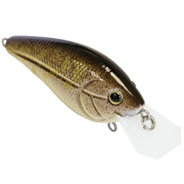 Livingston Lures 3998 Tournament Series Primetyme CB 1.5 Crankbait