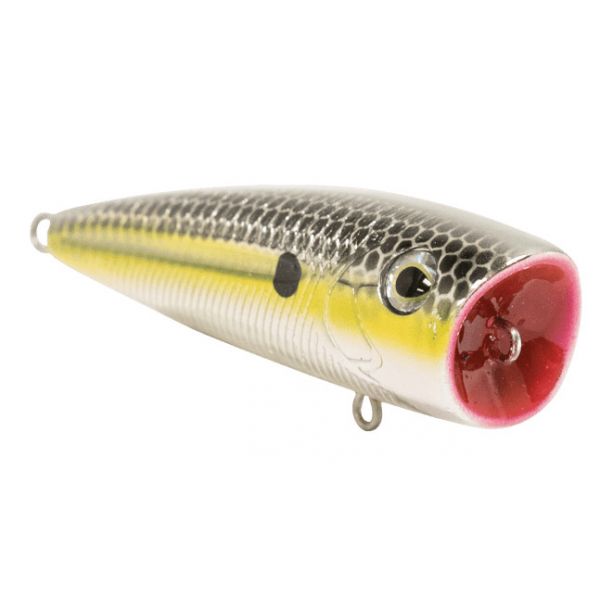 Livingston Lures 5334 Tournament Walk N Pop 67-1 Topwater Popper