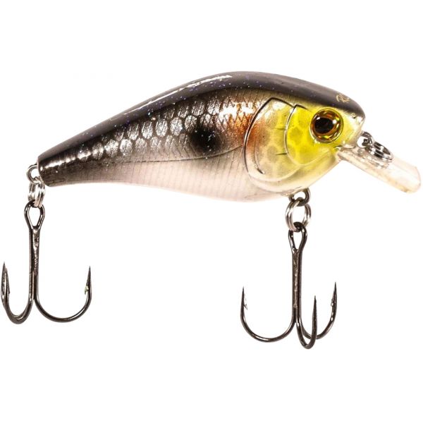 Luck-E-Strike RC2 Series 3 Squarebill Crankbait - Gold Head Shiner