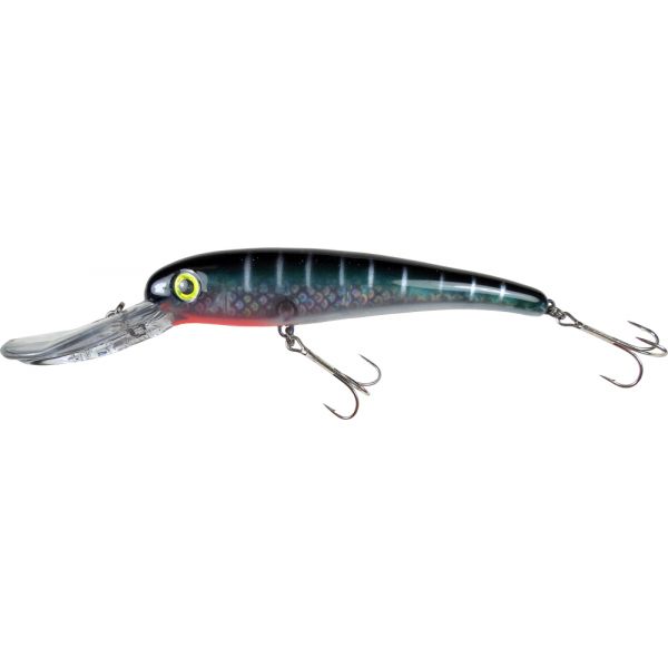 Manns SDRB600-5 Smooth Body Stretch 25+ - Baby Sailfish