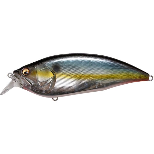 Megabass Big M 2.0 Crankbait - Jukucho Shad