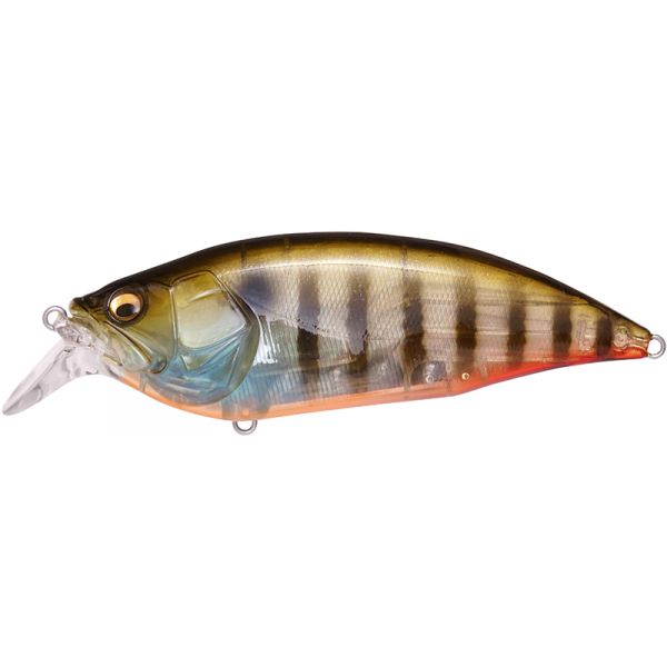 Megabass Big M 2.0 Crankbait - Biwako Clear Gill