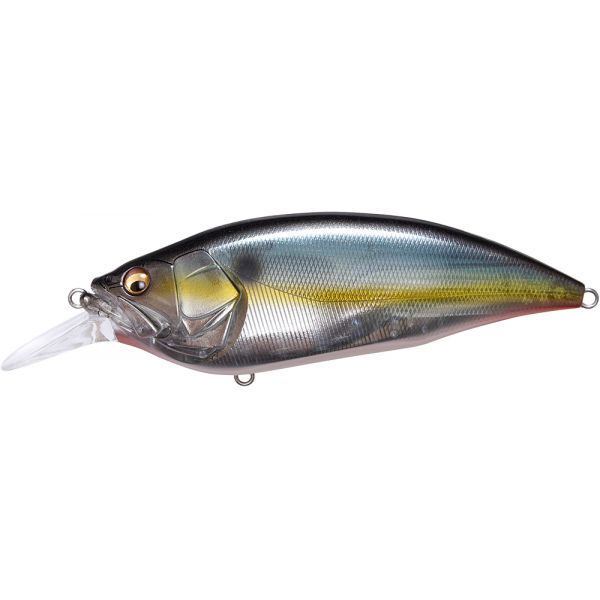 Megabass Big M 4.0 Crankbait - Jukucho Shad