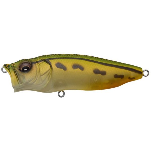 Megabass PopMax - Mat Frog