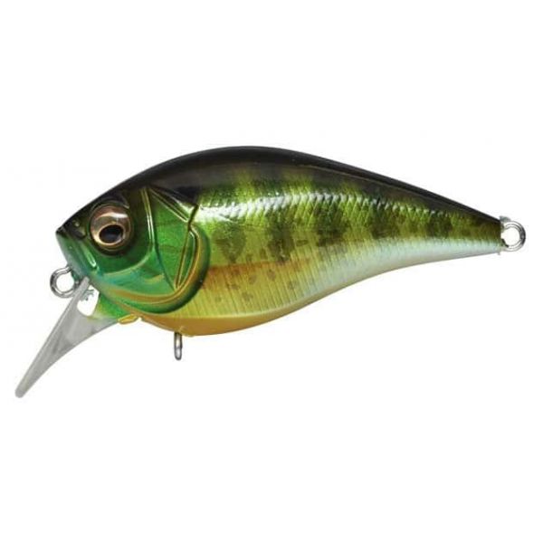 Megabass FX Knuckle 60 Pumpkin Seed