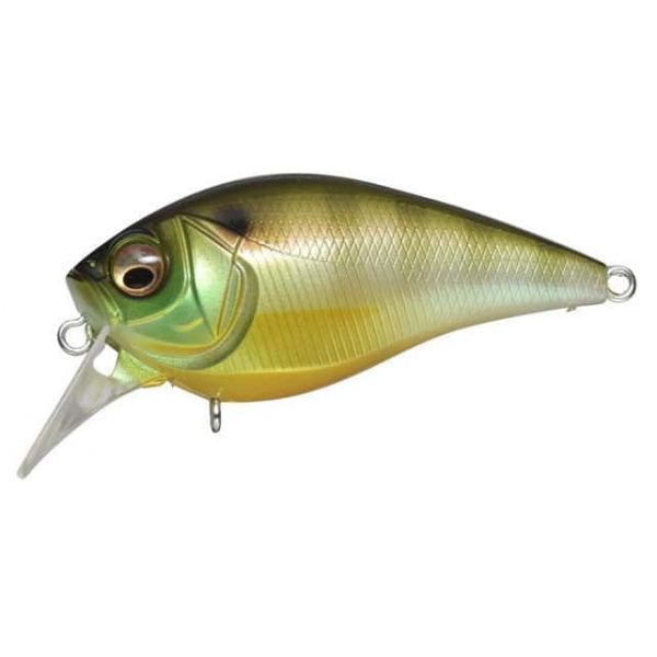 Megabass FX Knuckle 60 Gill