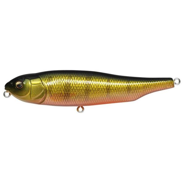 Megabass Giant Dog-X Top Water Lure Perch