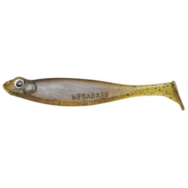 Megabass Hazedong Shad 3in 8pack Numa Ebi