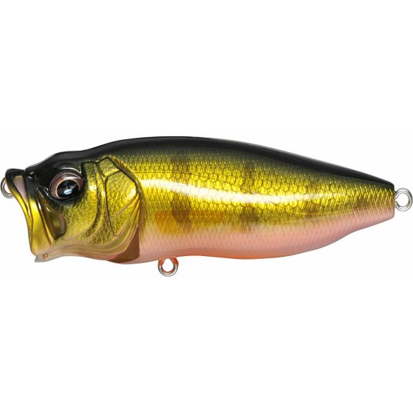 Megabass PopMax Perch