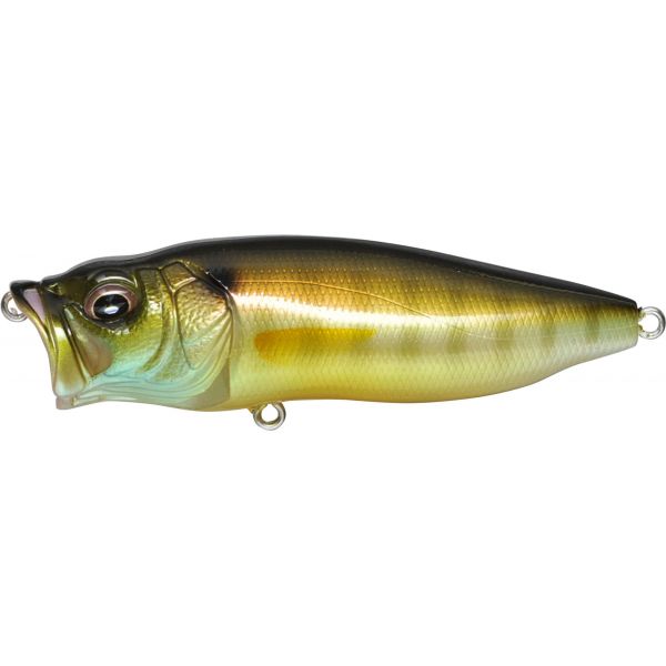 Megabass PopMax Gill