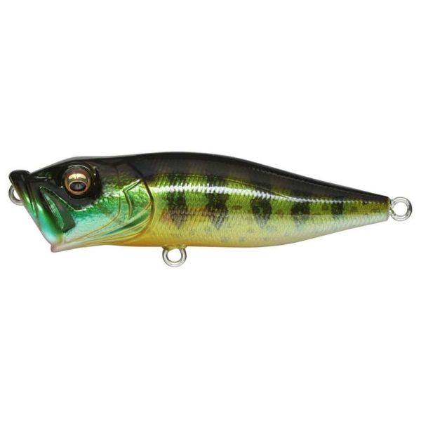 Megabass PopX Top Water Popper Pumpkin Seed