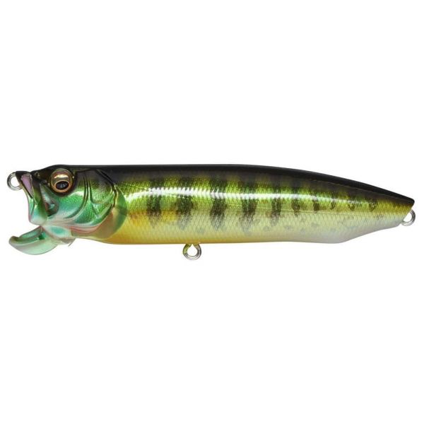 Megabass XPOD Jr. Top Water/Subsurface Lure Pumpkin Seed