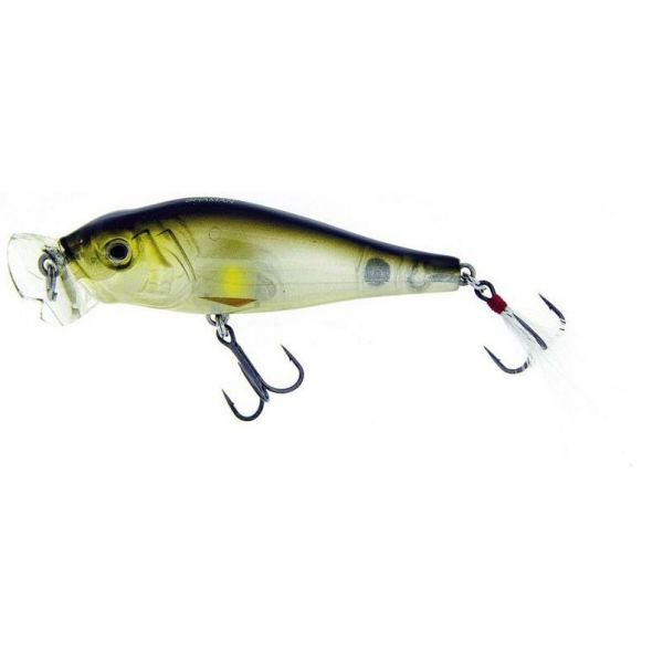 Molix Shaman Popper - 3-1/4in - The Verde