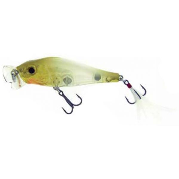 Molix Shaman Popper - 3-1/4in - Ghst Shell NC