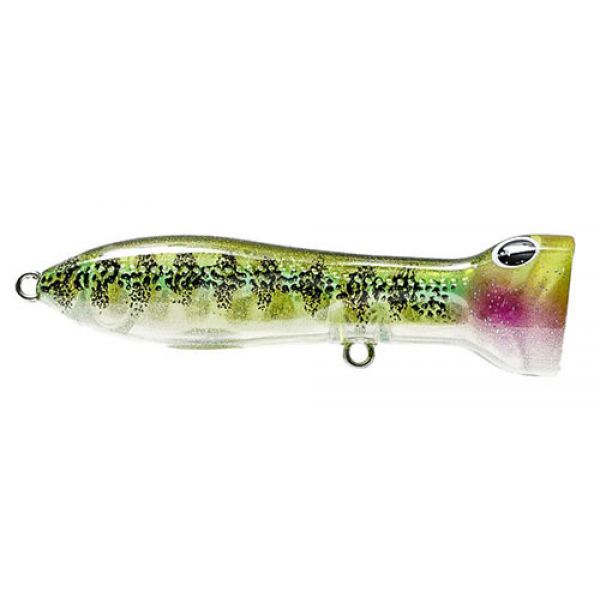 Nomad Design Chugg Norris Popper - 95mm - Ghost Green Bandit