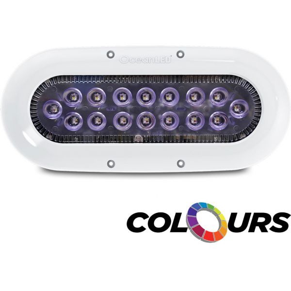 OceanLED 012311C X-Series X16 - Multi Colours