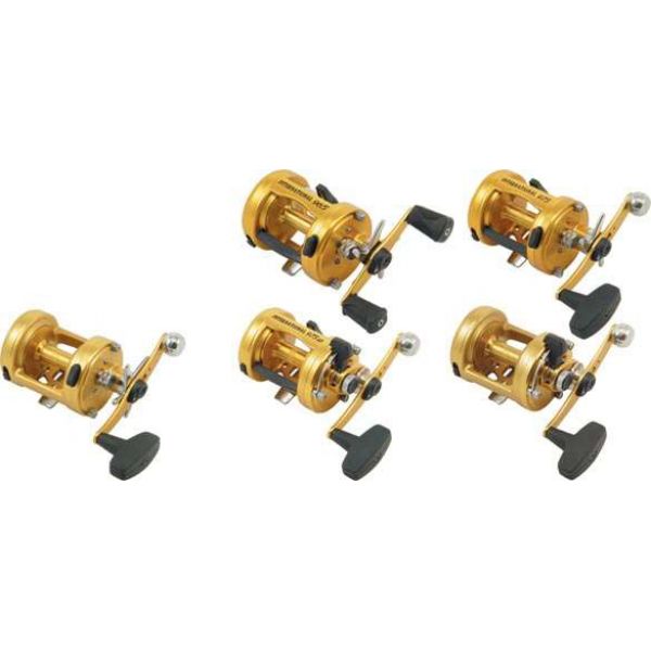 Penn International Baitcasting Reels