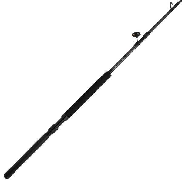 Penn ALLYBWII5080C60RS Ally II Boat Conventional Rod