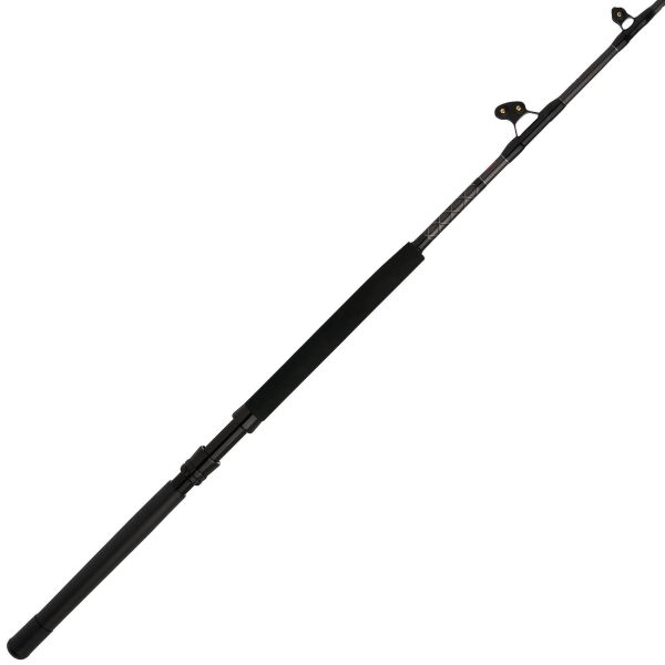 Penn ALLYBWII5080C60AR Ally II Boat Conventional Rod