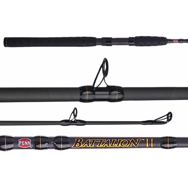 Penn BATINII1220C70 Battalion II Inshore Casting Rod