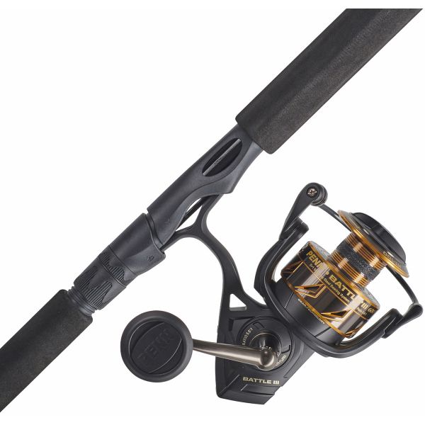 Penn BTLIII6000661JG Battle III Spinning Combo