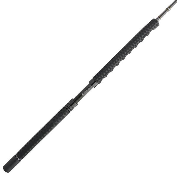 Penn CARBWIII2040C70 Carnage III Conventional Boat Rod