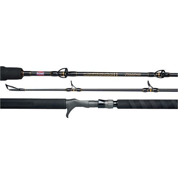 Penn CARJGII3080C66 Carnage II Jigging Casting Rod - 6'6''