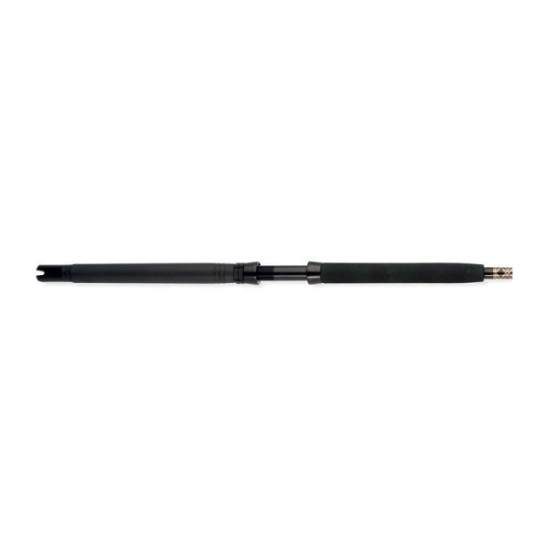 Penn INTVI203066RS International VI Conventional Rod