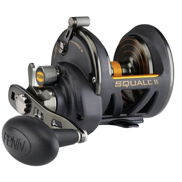 Penn SQLII25NSD Squall II Star Drag Reel