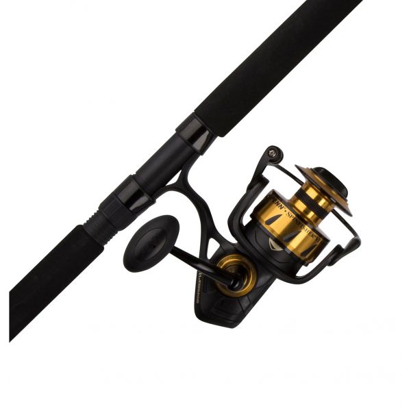 Penn SSVI6500661JG Spinfisher VI Spinning Combo